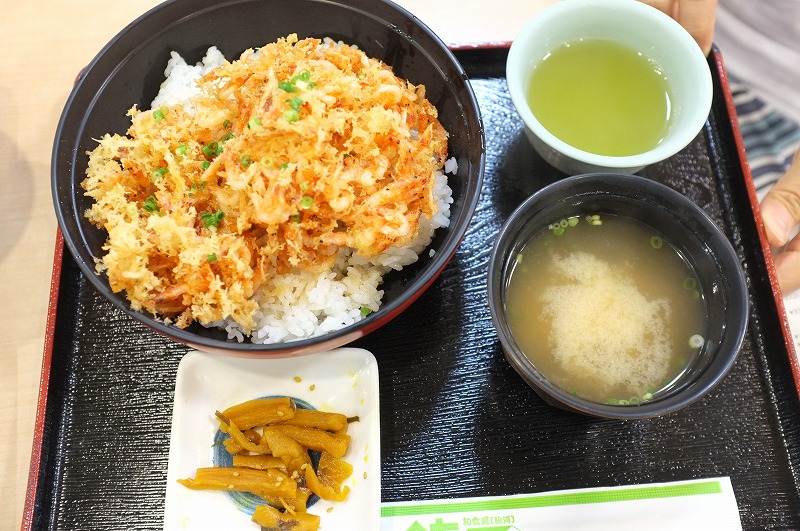富士ＳＡ　シラス丼_f0050534_10451814.jpg
