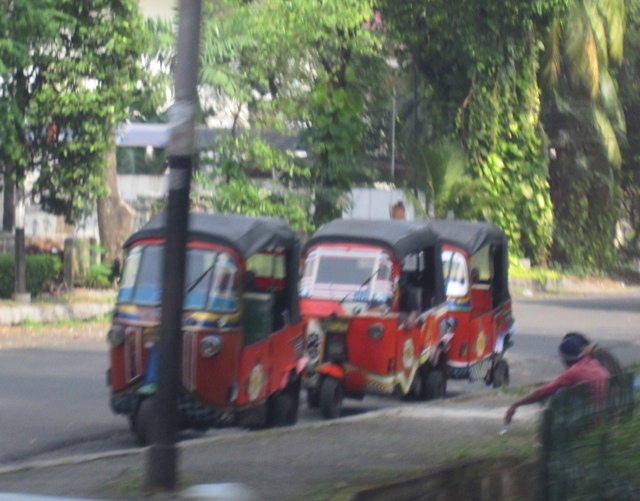 d0106242_81576.jpg