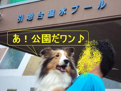 しゃべり出しそうなヒップ♪_e0195743_20512696.jpg