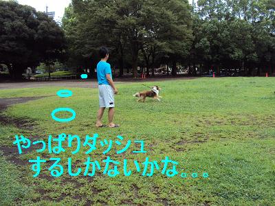 しゃべり出しそうなヒップ♪_e0195743_20514485.jpg