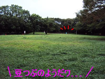 しゃべり出しそうなヒップ♪_e0195743_20515466.jpg