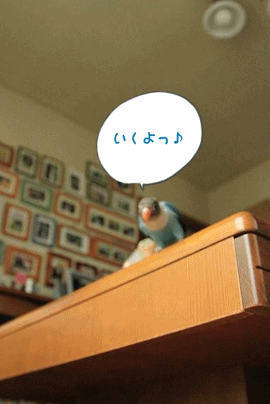 c0145250_12561139.gif