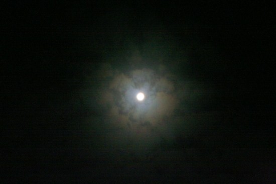 e0126350_1525763.jpg