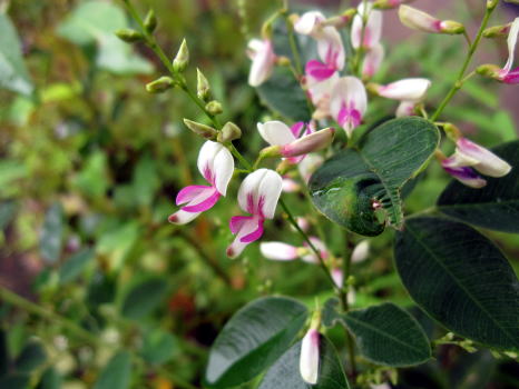 c0147952_12243191.jpg