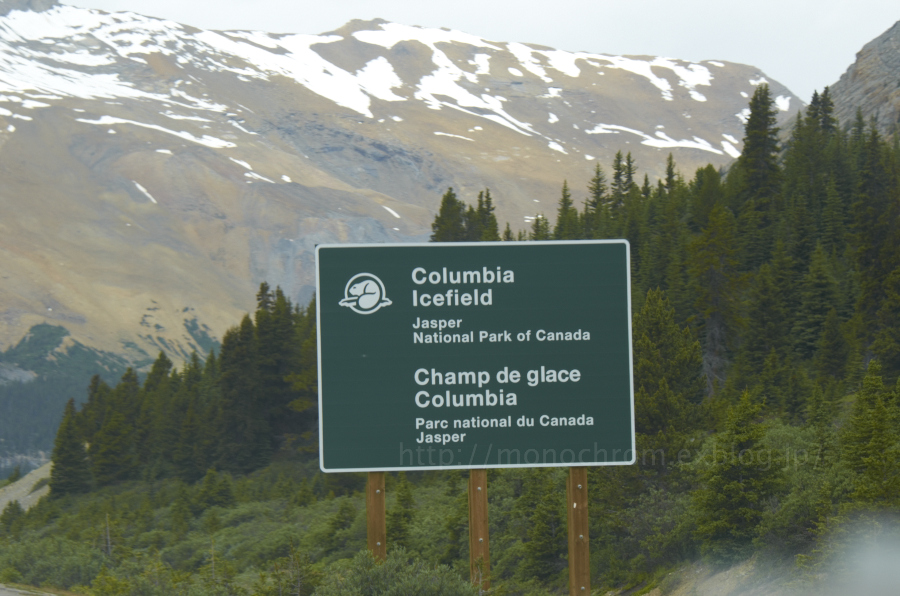 Nature in Canada vol.8 Columbia Icefield_c0219256_9215537.jpg