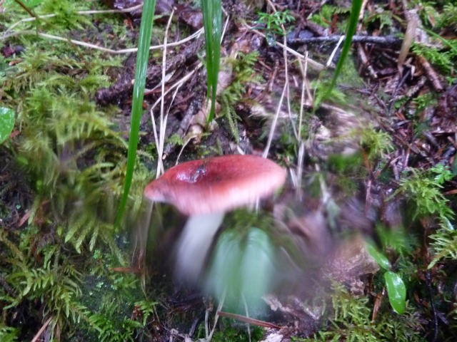 d0110562_18205123.jpg