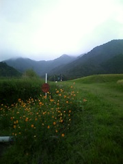 d0240462_153248.jpg