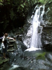 d0240462_21144.jpg