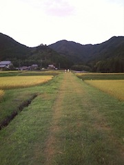 d0240462_2341681.jpg