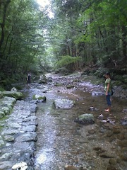 d0240462_295968.jpg
