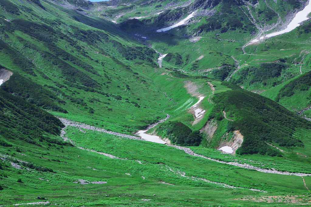 f0171065_17271632.jpg