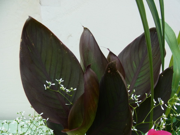 b0194267_14374518.jpg