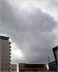 a0050669_51352.jpg