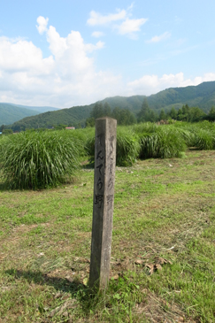 東北4 遠野_d0023170_2223279.jpg