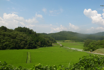 東北4 遠野_d0023170_2225146.jpg