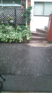 雨音はショパンの調べ_a0059281_1382928.jpg