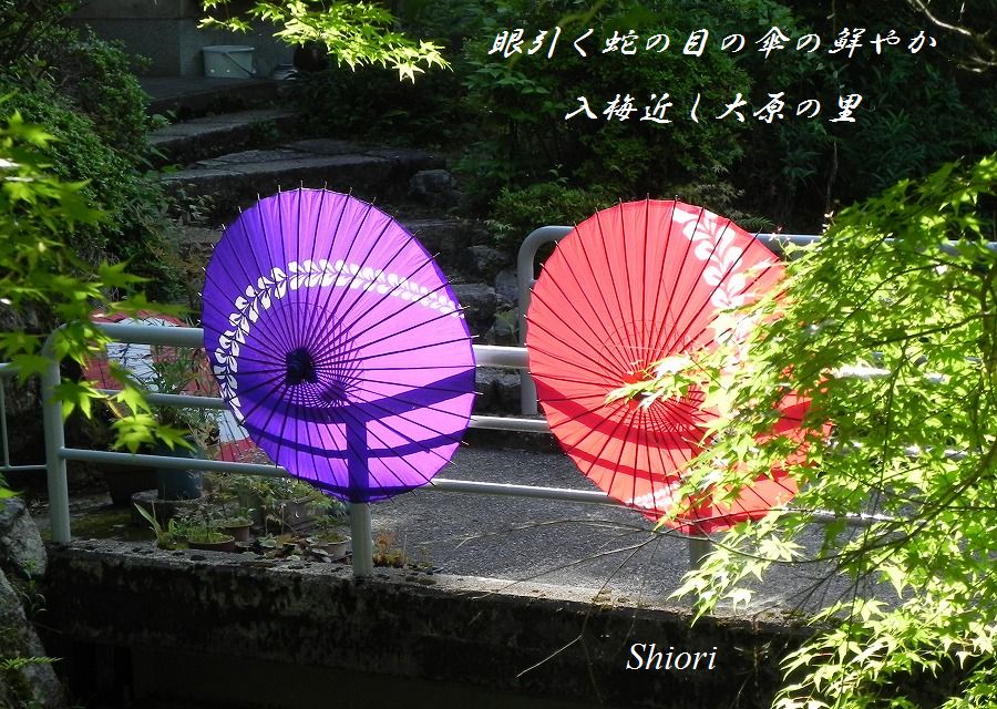 c0187781_9335522.jpg