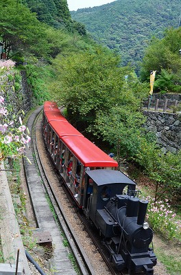 c0229483_915482.jpg