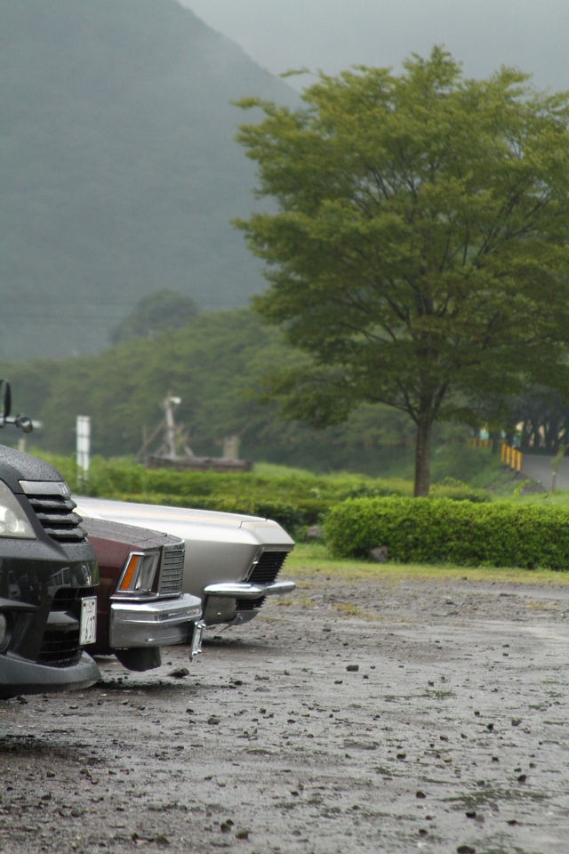 雨の中の島田戦線に逝きました。。。_d0163785_232611.jpg