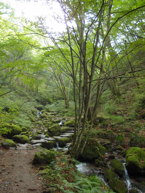 ロックガーデンと綾広の滝～御岳山　山歩き♪　Ⅵ_e0195587_18153825.jpg