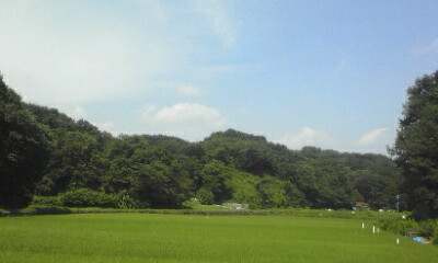 e0054290_10793.jpg