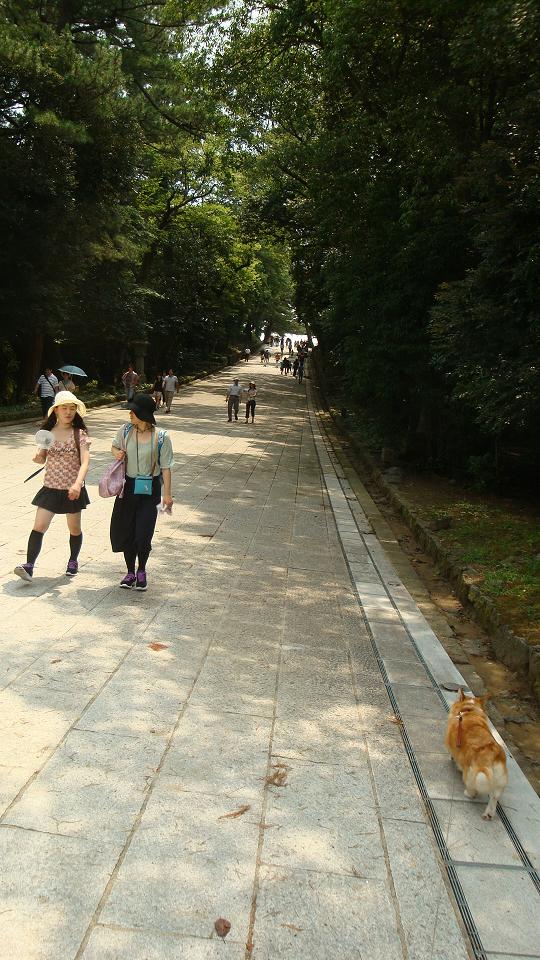 f0075595_11471833.jpg