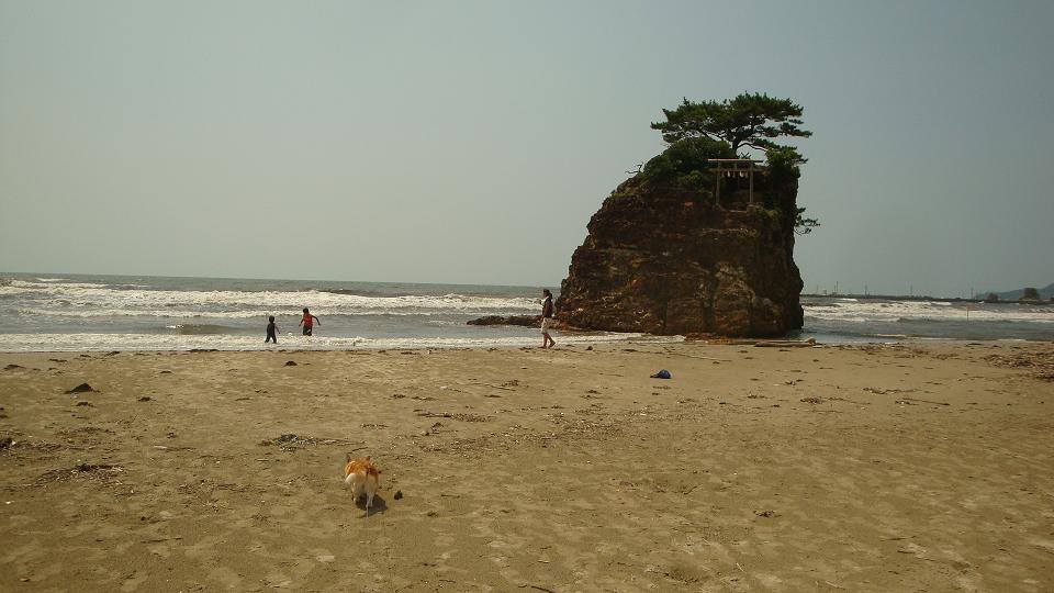 f0075595_11492457.jpg