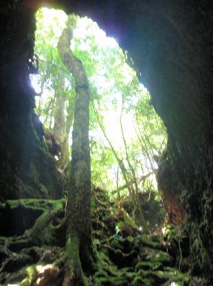 日本火山洞窟学会_e0077899_93063.jpg