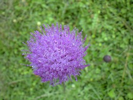 b0059000_13224429.jpg