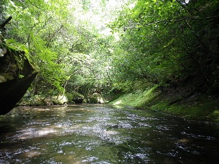 b0116201_11285666.jpg
