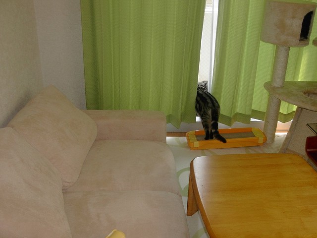 c0187403_15575136.jpg