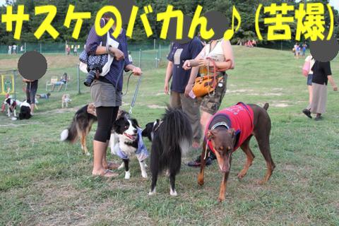 e0100007_2149050.jpg