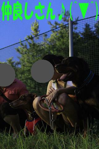 e0100007_21494051.jpg