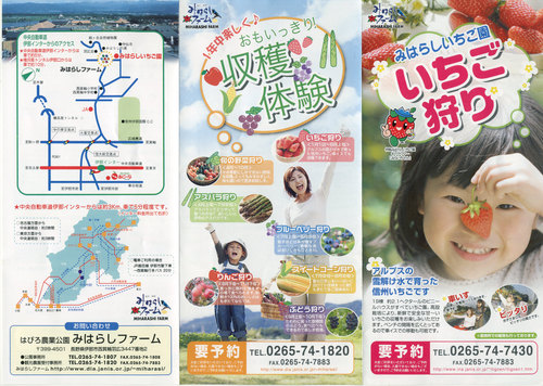 伊那路から木曽路へ奈良井宿観光 富貴の森 ペルセウス流星群2011 レモンライムの青いかぜ_a0194908_19311636.jpg