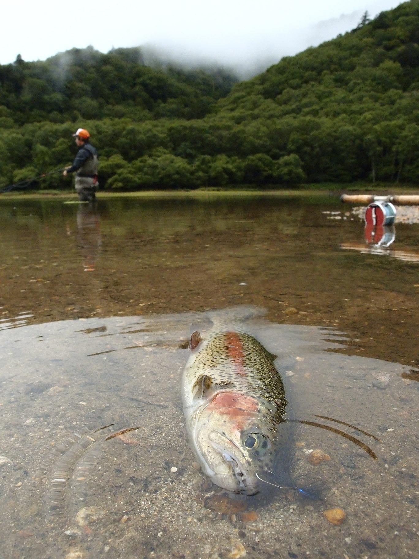 ２０１１丸沼釣行！_d0126708_13162130.jpg