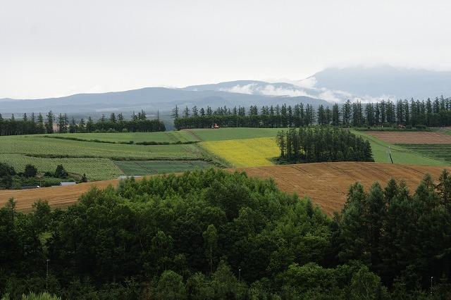 f0139911_20403626.jpg