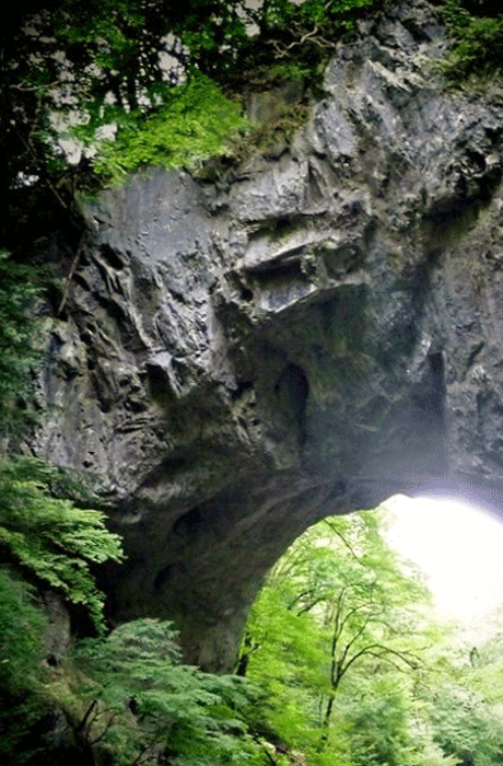 b0130112_11241076.gif