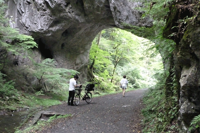 b0130112_1129249.gif