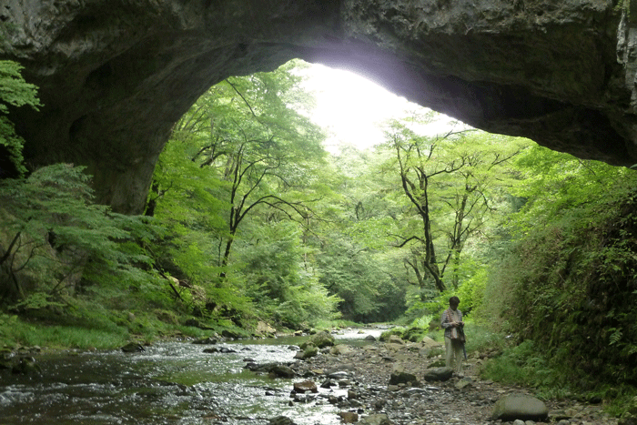 b0130112_11322938.gif