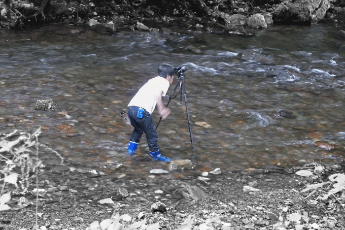 b0130112_1134966.gif