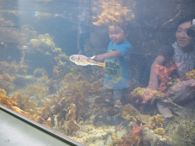 a0151615_15204399.jpg