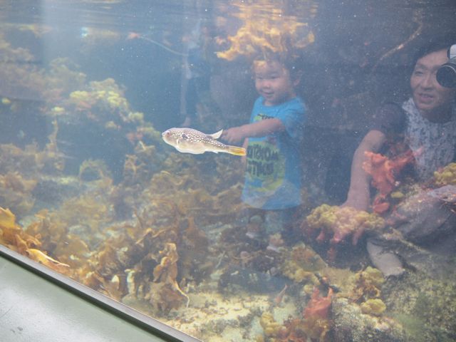 水族館へ_a0151615_15204399.jpg