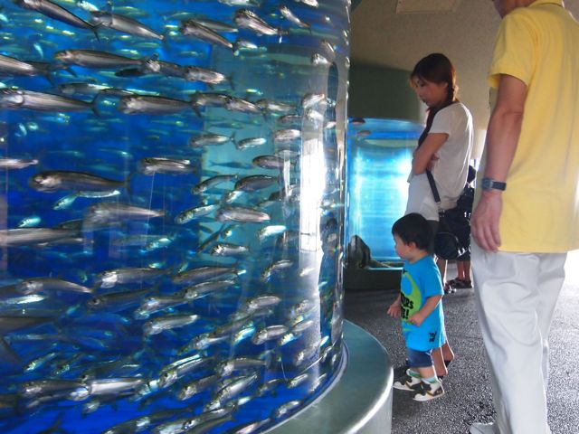 a0151615_15274367.jpg