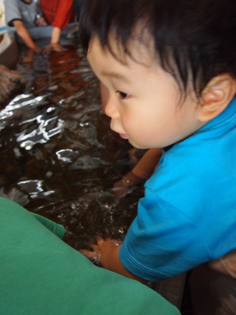 a0151615_15345636.jpg