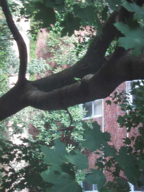 c0120817_11020.jpg