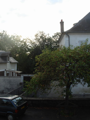 c0124619_513678.jpg