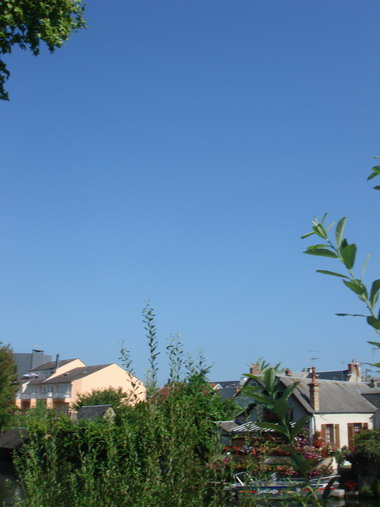 c0124619_521660.jpg