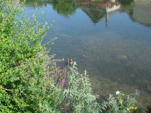c0124619_524545.jpg