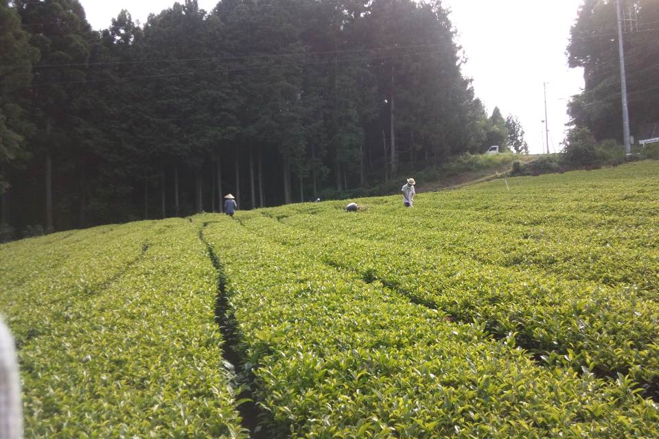 f0142721_10292179.jpg