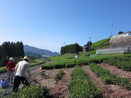 f0142721_1125723.jpg